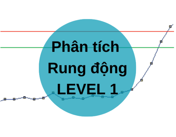 Đào tạo Phân tích rung động Level 1