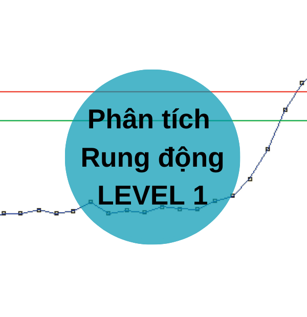 Đào tạo Phân tích rung động Level 1
