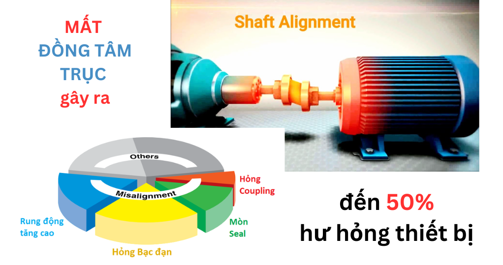 Đồng tâm trục (Shaft Alignment): tác hại, tiêu chuẩn đánh giá
